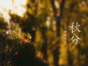 秋分是什么時候?秋分飲食的五大建議