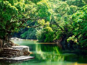 春季傳染病有哪些?怎樣預(yù)防春季傳染病