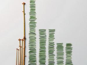 輕微強迫癥有什么表現?如何緩解強迫癥