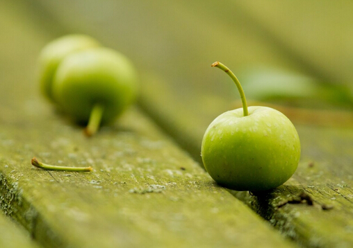 ������ʳ��ˮ�������ӻ����L(f��ng)�U��