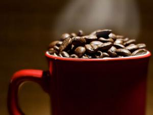 咖啡因與運(yùn)動(dòng)結(jié)合可抗皮膚癌