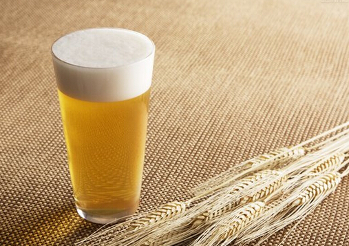 �m����������A���P����