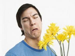 鼻敏感嚴重怎么辦?抗過敏鼻炎喝這兩款茶效果好