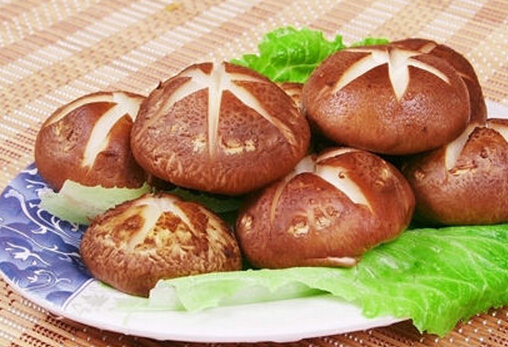 ���}Ӳ����Σ��-�㹽�מ����A�����}Ӳ��