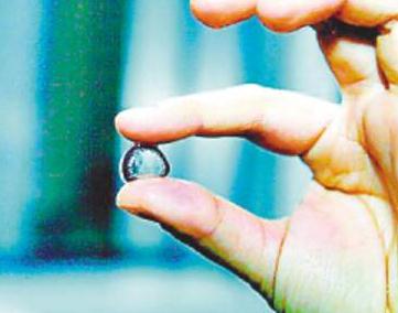 ���|���R�����w�Ă���