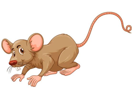 ������ͨ�^ʲô�����ģ�������������ˆ᣿