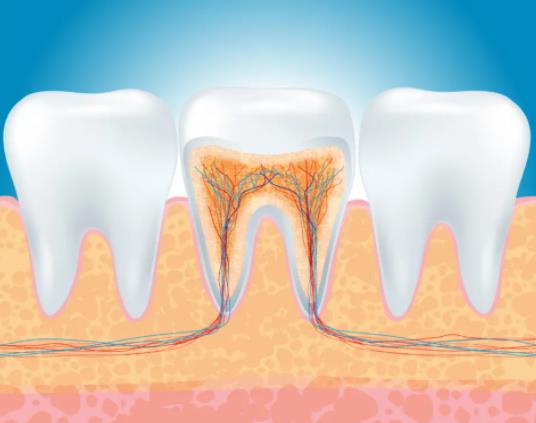 �������N���Խ����Æ᣿�������N�и����Æ�