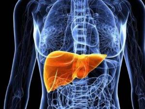 ���K����Ҫ���Ŷ� 9�н����ų��w�ȶ��� ���9�Nʳ����B��