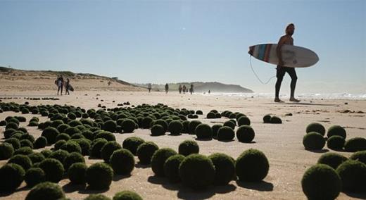 Ϥ�ả���@�F�������ؾGɫ�����嵰��