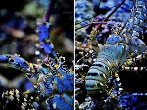 �㽭�؎X������1���L�����r����60�f�I��