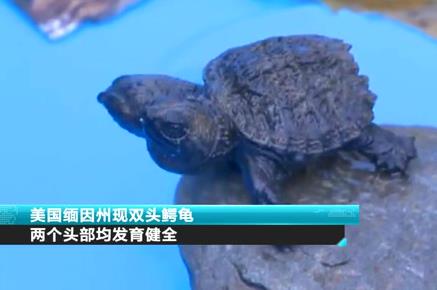 ����(gu��)�����ݬF(xi��n)�p�^�{�� �ɂ�(g��)�^�����l(f��)����ȫ