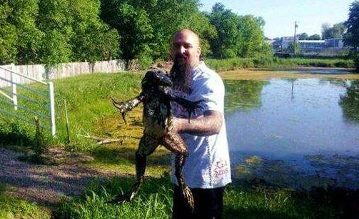 世界上最大的青蛙