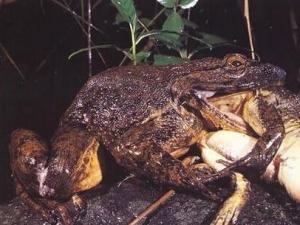 �������������� ���޾������_3����