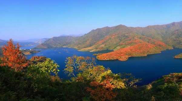 世界罕見的地質(zhì)奇觀喀斯特漏斗群 世界上最大的樂業(yè)天坑群在哪