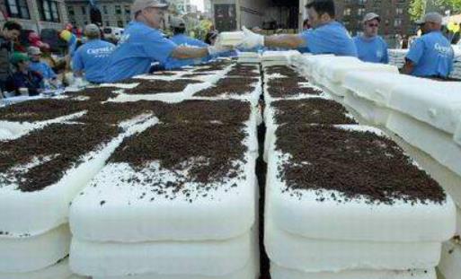 世界上最大的冰激凌 巨型芒果冰淇淋達3000公斤