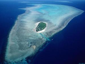 東海岸溫帶和亞熱帶森林區介紹