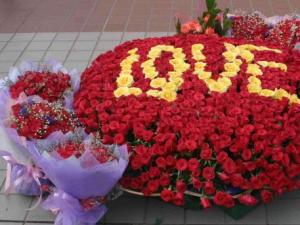 ��ͬ�ɫ������õ�廨�����ĺ��x �{õ���{ɫ������õ�廨�Z