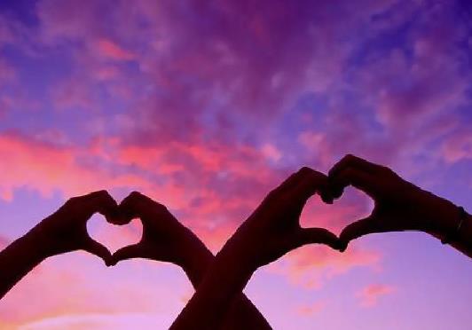 �����Ѳ��D�~�ǲ��ǲ����������Ѳ��D�~�s�ͶY����ϲ�g��