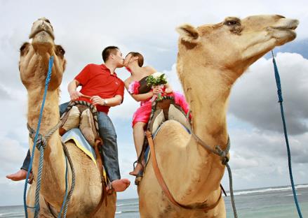 ���нY(ji��)��ľ��w���̼�ע�����