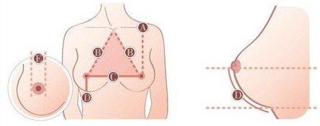 ������УУ���u�x�������u��УУ��Ҫ���p���g�೬20���ס�