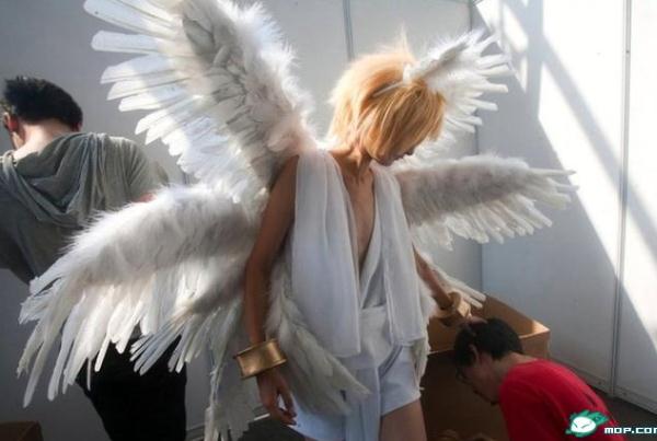 2012��hʮһ�����չ,ŮŮ��߶ȵ��ؼ��������h