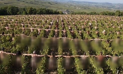 ɽ�������w�О�ˇ�g��ʮ���f�˼��wȺ�������^����ˇ�g�M�е����cɫ��Q�o�Pϵ