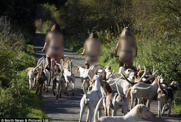 ���ƾ�Ҫ���w��Ӣ��15��Ů�T�����w���R�Ĕz2013������՚v�M�D