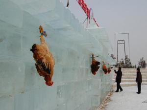 �����Ӽ���ѩ���������οͣ��@�F���u���й��ο��䚢�M�D