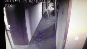 �^�Y���ӼsŮ�W(w��ng)���_�����_����͵����������׷�����Z������������4��