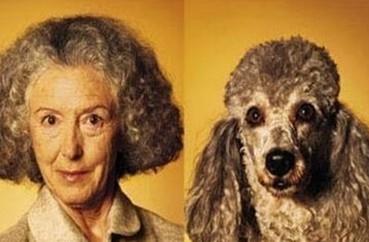 �������湷�����L���c����ƶ��߼t���؄e����ͣ��˹��ƌ\���治��(�M�D)