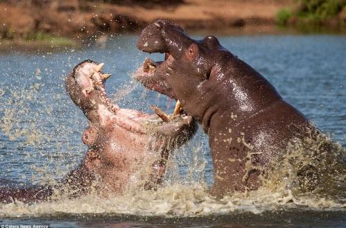 ץ���Ϸǃ��^���R���I�����l���������_Ѫ����˺ҧ�����D