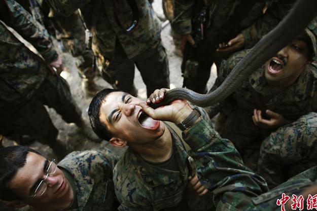 2013����ɫ���R�ߡ�(li��n)��܊����������܊ʿ����������Ӗ���������R��Ѫ�M�D