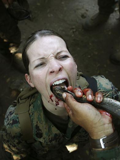 2013����ɫ���R�ߡ�(li��n)��܊����������܊ʿ����������Ӗ���������R��Ѫ�M�D