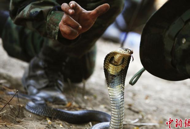 2013����ɫ���R�ߡ���܊����������܊ʿ����������Ӗ���������R��Ѫ�M�D