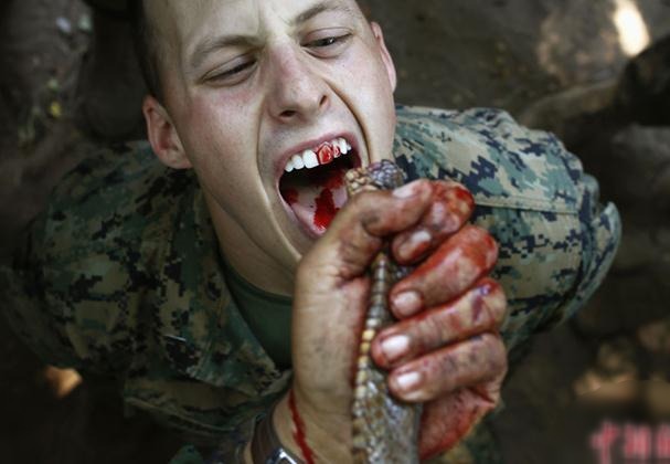 2013����ɫ���R�ߡ���܊����������܊ʿ����������Ӗ���������R��Ѫ�M�D