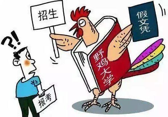 如何辨別美國的野雞大學?出國留學要謹防野雞大學