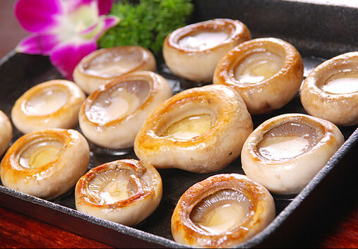 �����ڿ��ԳԿ�Ģ�᣿�Կ�Ģ������