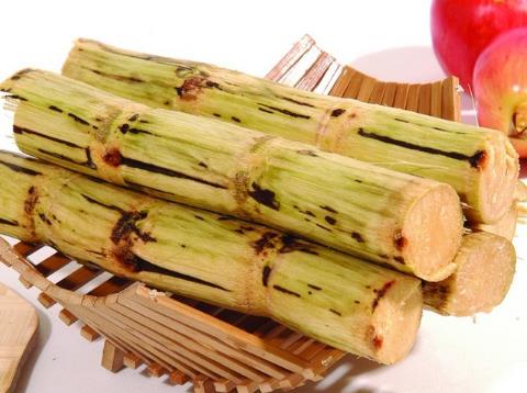 �������ܳԸ���᣿�����ڳԸ�����ʲô��̎