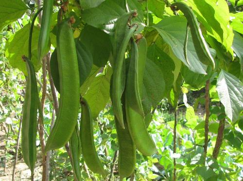 �a�D�Ե�����ʲô��̎���a�D�Ե���������