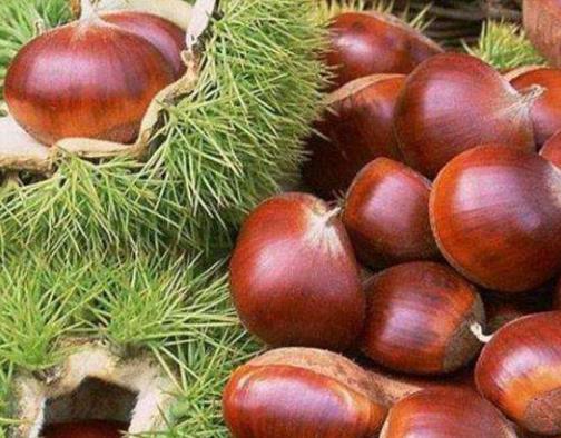 坐月子吃板栗好嗎?產婦可以吃板栗嗎