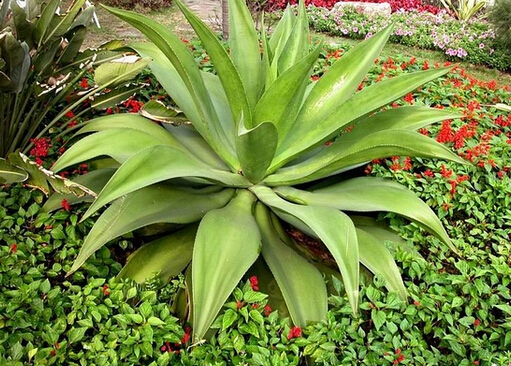 �ķN�J�C�zȥ��ӡ�ã��J�C�z��ô�xُ