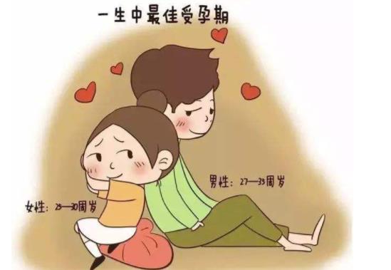 男性女性最佳生育年齡 男女最佳生育組合