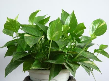 ���ݜp����ȡ����ĸй����硢ȡ������ܺ���