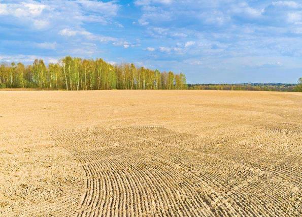 一畝地等于多少平方米?農村一畝地有多長多寬(土地單位換算技巧)