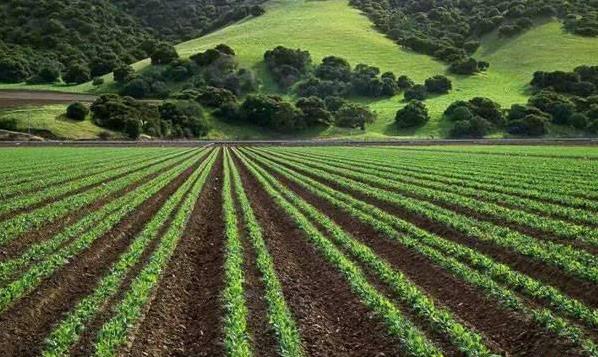 一畝地等于多少平方米?農村一畝地有多長多寬(土地單位換算技巧)
