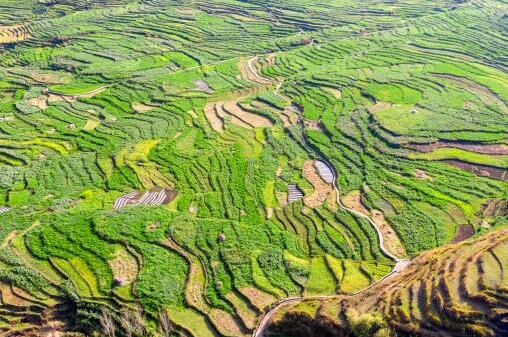 耕保基金是什么?一年補貼多少錢?哪些人可以領取怎么領取