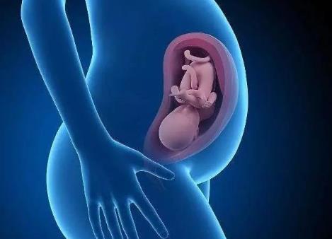 大學(xué)懷孕加學(xué)分是真的嗎?大學(xué)懷孕了會被開除嗎