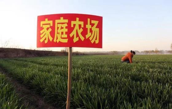 2021年家庭農場補貼領取需要什么條件?補貼標準是多少錢?