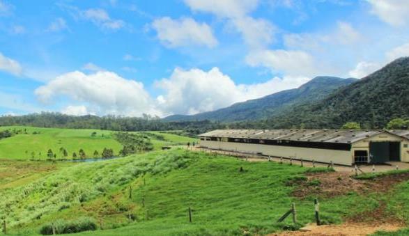 2021年家庭農場補貼領取需要什么條件?補貼標準是多少錢?