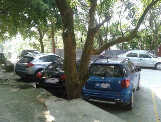 有人亂停車可以叫交警拖車嗎?車停路邊被拖走了怎么處理